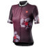 CASTELLI Primavera short sleeve jersey