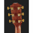 Taylor Builders Edition 816ce