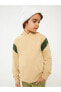 Фото #2 товара LCW Kids Kapüşonlu Baskılı Uzun Kollu Erkek Çocuk Sweatshirt