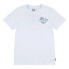 LEVI´S ® KIDS Scenic Summer short sleeve T-shirt