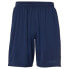 Фото #1 товара UHLSPORT Performance Shorts