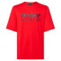 Фото #3 товара OAKLEY APPAREL Factory Pilot MTB II short sleeve T-shirt