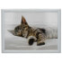 CREATIVE TOPS Sleeping Kitten Tray - фото #2