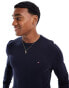 Tommy Hilfiger Crew Neck Flag Embroidery Jumper in Dark Blue