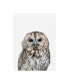 Фото #1 товара Lexie Gree Owl Portrait Canvas Art - 19.5" x 26"