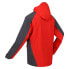 Фото #6 товара REGATTA Britedale softshell jacket