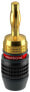 ClickTronic 52546 - Banana plug - Gold - 152 g - -20 - 60 °C - 4 pc(s)