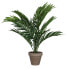 Фото #2 товара Kunstpflanze Areca-Palme