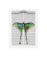Fab Funky Butterfly 1 Canvas Art - 36.5" x 48"