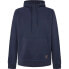 Фото #1 товара HACKETT Heritage H hoodie