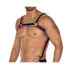 Фото #1 товара H4RNESS05 Chest Harness Neon MultiColor One size