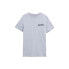T-shirt 4F M 4FSS23TTSHM307 light gray