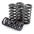 Фото #2 товара DP BRAKES HDS149-5 Honda CRF Clutch Spring Kit 5 units