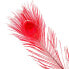 Фото #1 товара BAETIS Dyed Peacock Feather