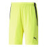 PUMA TeamLiga Shorts