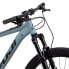 FUJI BIKES Nevada 29´´ 1.0 LTD 2021 MTB bike