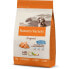 Фото #2 товара AFFINITY Nature´s Valley Original Canine Junior Salmon 10kg Dog Food