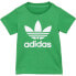 ADIDAS ORIGINALS Trefoil short sleeve T-shirt