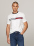 Signature Flag Stripe Logo T-Shirt