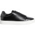 Фото #1 товара Кроссовки Calvin Klein Clean Cup Lace Up Trainers