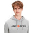 Фото #5 товара JACK & JONES Logo hoodie