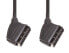 Фото #2 товара E&P VC 830 U/3 - 3.5 m - SCART (21-pin) - SCART (21-pin) - Black - Male/Male