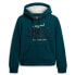 SUPERDRY Luxe Metallic Logo hoodie