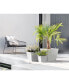 Фото #2 товара Rotterdam Indoor and Outdoor Square Planter, 12in