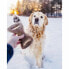 Фото #3 товара Прорезыватель для зубов для собак Benebone Животные