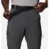 Фото #4 товара COLUMBIA Silver Ridge™ Utility Pants