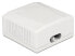 Фото #6 товара Delock 86197 - 2 x RJ-45 - White - TIA-568A/B - 59 mm - 61 mm - 29.5 mm