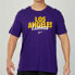 Nike DNA Dri-FIT NBA T-Shirt CK8959-547