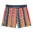 Фото #2 товара BILLABONG Sundays Layback Swimming Shorts