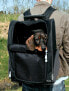 Фото #2 товара Переноска для собак TRIXIE Torba 'Tbag' 36x50x27 см, нейлоновая, черная