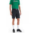 BERGHAUS Theran Shorts