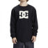 ფოტო #1 პროდუქტის DC SHOES Dc Star Hls long sleeve T-shirt