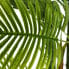 Decorative Plant Green PVC 170 cm Palm tree