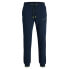 JACK & JONES Gordon Globus sweat pants