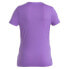 Фото #2 товара ICEBREAKER Merino 150 Tech Lite III short sleeve T-shirt