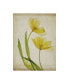Фото #1 товара Judy Stalus Parchment Flowers IV Canvas Art - 37" x 49"
