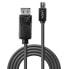 LINDY DisplayPort To Mini DisplayPort 1.4 cable 3 m