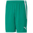 Фото #1 товара Puma teamLiga M 704924 05 shorts