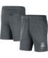 ფოტო #2 პროდუქტის Men's Gray Arizona Wildcats Fleece Shorts
