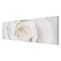 Bild Pretty White Rose I