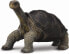 Фото #1 товара Фигурка Collecta Pinta Island Tortoise 004-88619 Figurines (Фигурки)