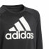 Толстовка без капюшона детская Adidas Designed To Move Big Logo Чёрный