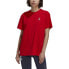 Фото #1 товара ADIDAS FC Bayern Graphic 22/23 Woman Short Sleeve T-Shirt