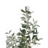 Decorative Plant Polyester Polyethylene Olive tree 55 x 60 x 112 cm