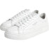 PEPE JEANS Adams Snaky trainers