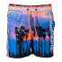 SUPERDRY State Volley Swimming Shorts